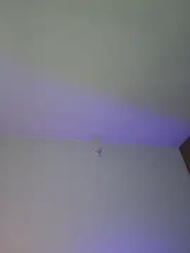 mich bittersweet online show from April 2026 11:19:02 PM