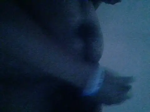 Snapshot of mateomalp675_90 chatting on April 2026 03:28:02 PM mateomalp675 90 online show from April 2026 03:28:02 PM