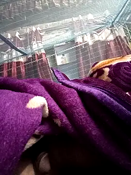 900irani online show from December 2024 12:12:01 AM