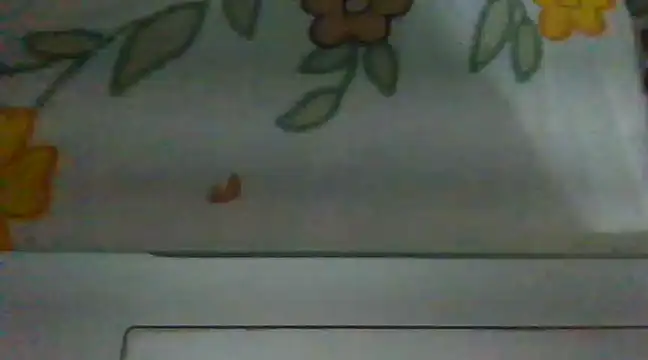 Snapshot of biggest_lund_ chatting on December 2024 12:45:02 PM biggest lund online show from December 2024 12:45:02 PM