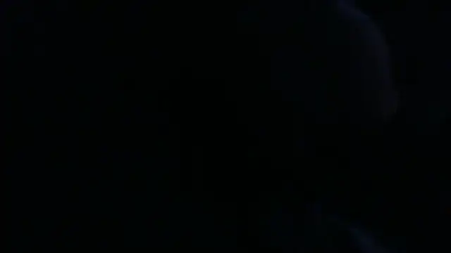 openallforyou online show from February 2026 10:24:01 AM