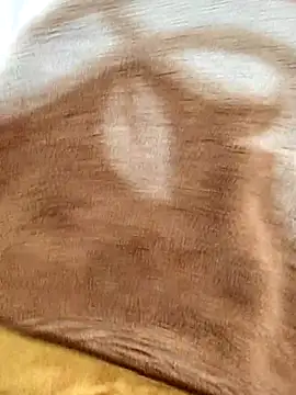 sids0 online show from January 2026 10:21:02 AM