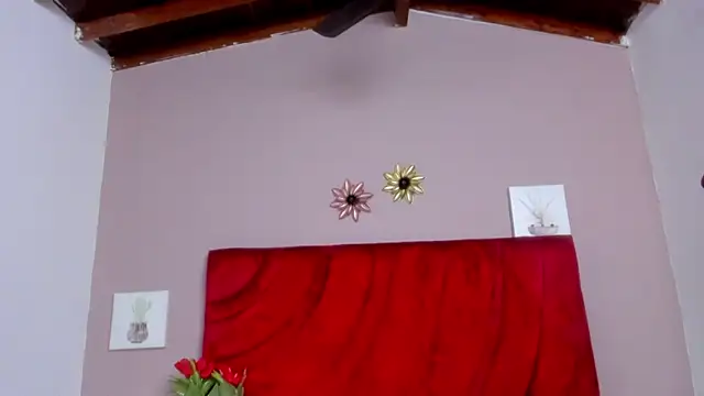 jhonjairo85  online show from February 2025 04:07:02 AM