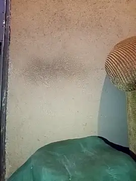 Thickcockzivyy online show from February 2026 12:40:02 AM