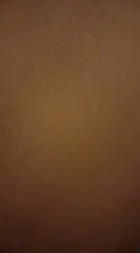 Nutbuster247 online show from February 2025 11:04:02 PM