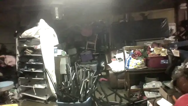 lilbishmiss online show from March 2026 04:51:02 AM