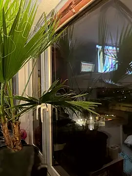 Snapshot of pillepallex84x chatting on January 2026 04:54:02 PM pillepallex84x online show from January 2026 04:54:02 PM