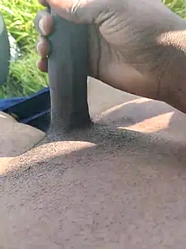 dhaadhawe online show from March 2026 01:07:02 PM