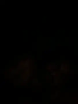 islandvybee55 online show from December 2024 09:47:02 AM