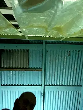 islandvybee55 online show from January 2026 07:24:01 AM