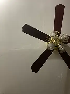 islandvybee55 online show from April 2026 03:14:01 PM