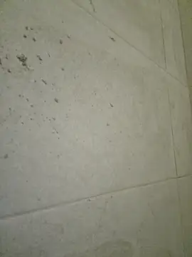 seloloko20 online show from September 2025 06:59:02 AM