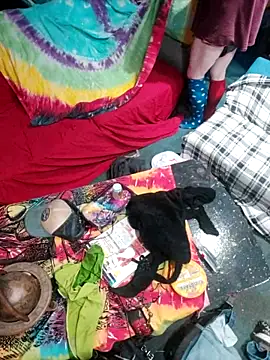 Boo-boo kittyfux online show from October 2025 08:47:01 AM