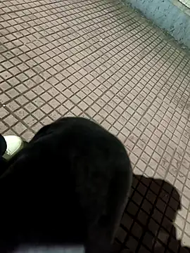 Snapshot of SurjS9 chatting on September 2025 03:35:02 PM SurjS9 online show from September 2025 03:35:02 PM