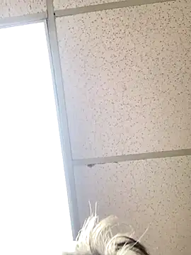 Tonybaloney1972 online show from October 2025 08:54:02 PM