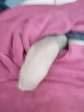 Snapshot of Maksim030 chatting on December 2024 10:06:02 AM Maksim030 online show from December 2024 10:06:02 AM