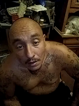 wilsons12 online show from November 2025 05:18:02 AM