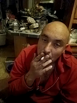 wilsons12 online show from November 2025 02:55:02 AM