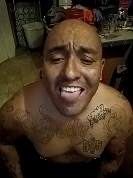 wilsons12 online show from December 2025 04:19:01 AM