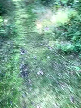 Zbochunec online show from September 2025 11:43:01 AM