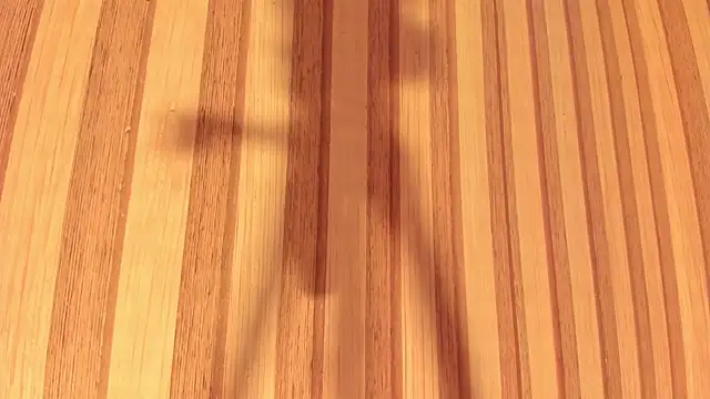 Daisy  rose online show from February 2025 11:02:02 AM