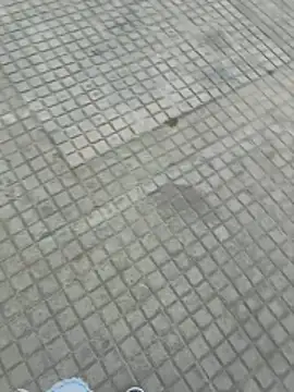 jovenestraviesos online show from March 2026 05:26:01 PM