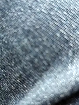 huzi518 online show from April 2026 02:39:01 AM