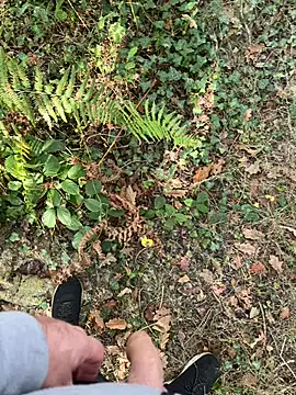 Snapshot of mj23641 chatting on September 2025 07:57:02 AM mj23641 online show from September 2025 07:57:02 AM