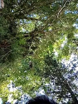 giselxxx hot online show from March 2025 02:34:01 PM