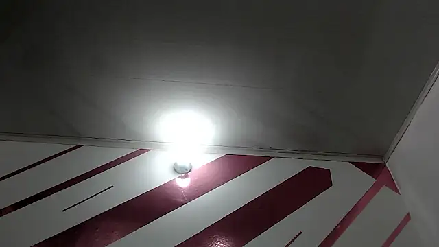 Kitten Hot  online show from January 2026 01:40:01 AM