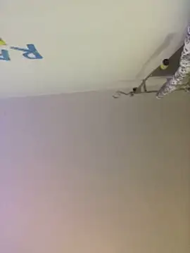 Meliss Official9 online show from October 2025 08:46:02 PM