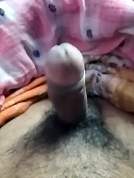 dick 01728 online show from December 2024 06:09:02 PM