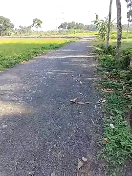 dick 01728 online show from April 2026 09:57:01 AM