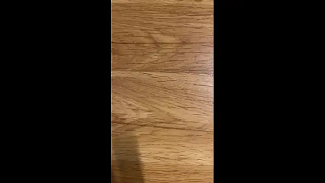 Hungry  Puppy online show from April 2026 10:10:01 PM