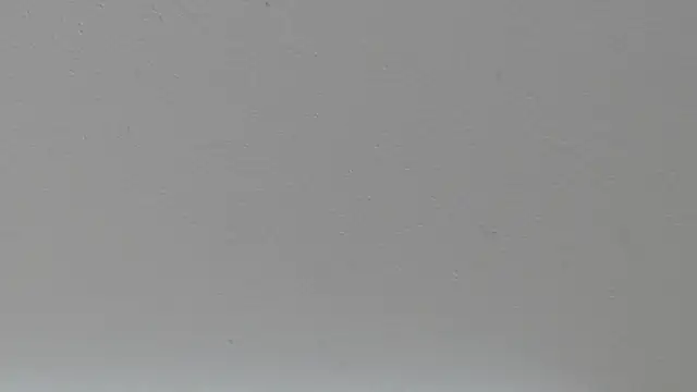 Snapshot of pathogen1 chatting on January 2026 09:36:01 AM pathogen1 online show from January 2026 09:36:01 AM