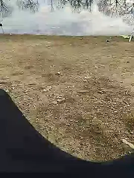 hexsmith96 online show from December 2024 11:49:02 AM