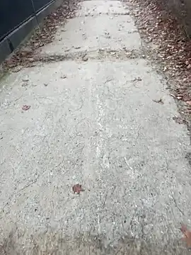 Tomkitomkii online show from November 2025 02:51:01 PM