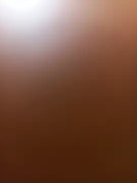 wildfox566 online show from June 2026 03:52:02 AM