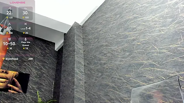 leonardsmith01 online show from March 2025 03:59:02 AM