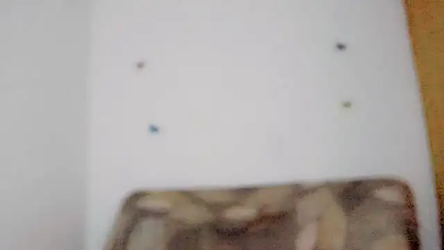 TatiGil online show from April 2026 08:46:01 PM