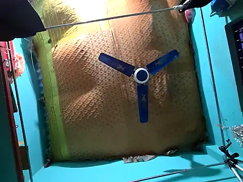 Snapshot of hotbaby_5 chatting on December 2024 09:29:02 AM hotbaby 5 online show from December 2024 09:29:02 AM