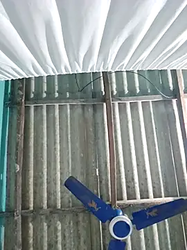 hotbaby 5 online show from November 2025 05:17:01 AM