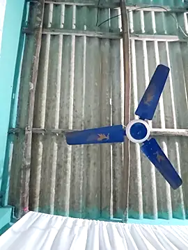 hotbaby 5 online show from November 2025 05:13:02 AM