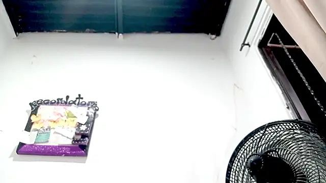 PetiteIvoryQueen19 online show from November 2025 03:34:01 AM