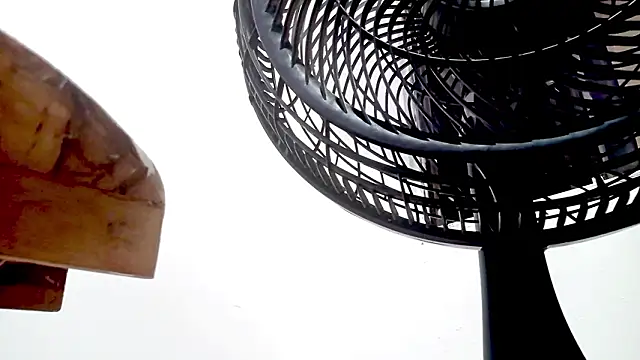 PetiteIvoryQueen19 online show from February 2026 01:35:02 AM