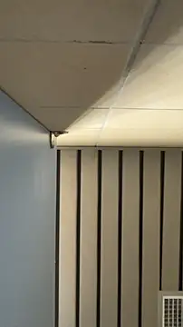 frnk30151 online show from September 2025 03:02:02 PM