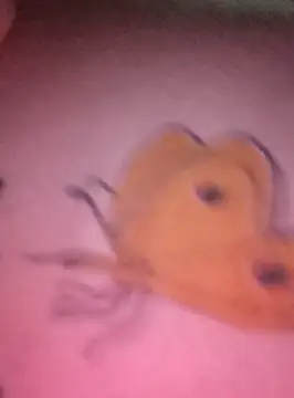 Nadia-2 online show from January 2025 12:20:01 AM