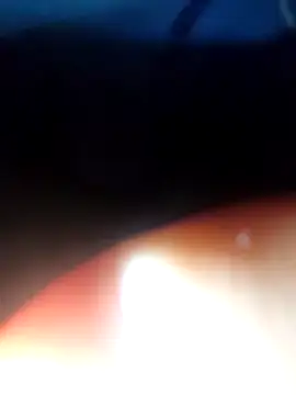 ch   ro69 online show from February 2025 02:14:01 AM