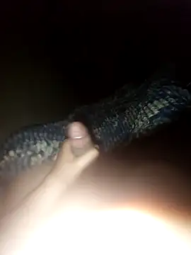 ch   ro69 online show from October 2025 03:31:02 AM