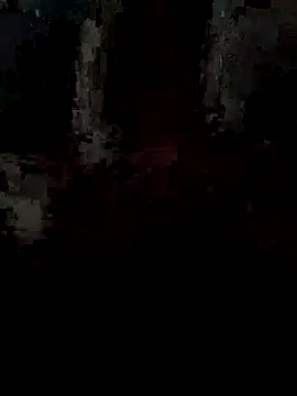 Snapshot of pintuS40 chatting on September 2025 02:22:02 AM pintuS40 online show from September 2025 02:22:02 AM